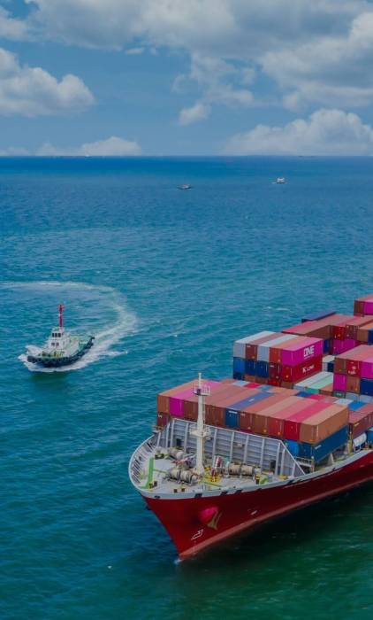 PLanejamento e Execução de Desembaraço Aduaneiro